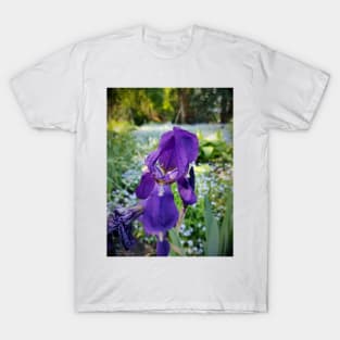 lily T-Shirt